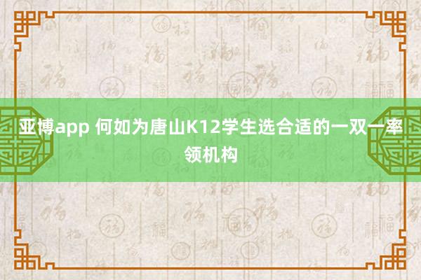亚博app 何如为唐山K12学生选合适的一双一率领机构