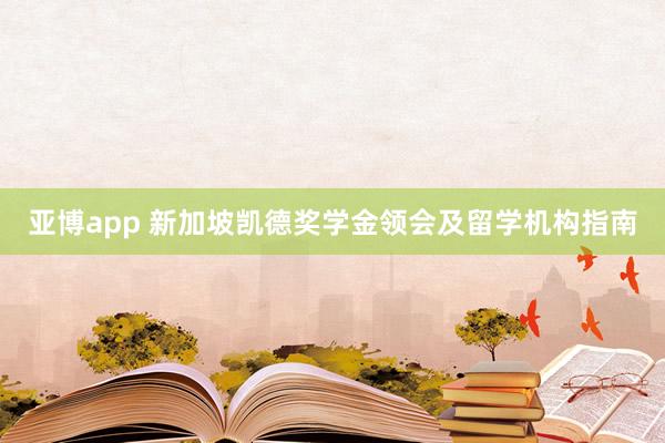 亚博app 新加坡凯德奖学金领会及留学机构指南