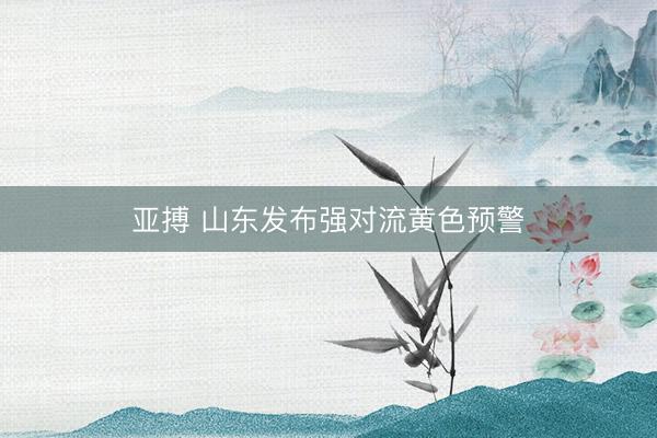 亚搏 山东发布强对流黄色预警