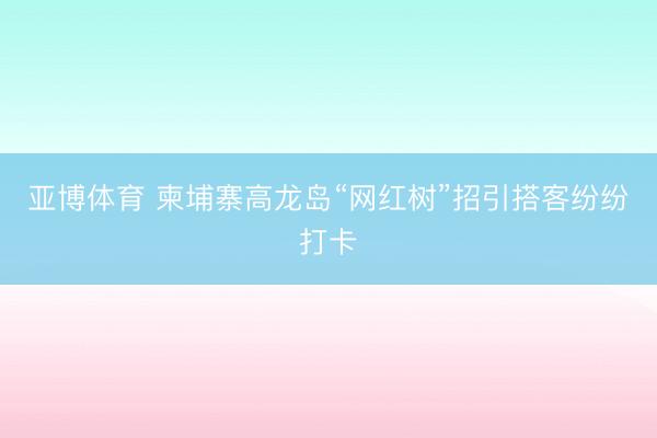 亚博体育 柬埔寨高龙岛“网红树”招引搭客纷纷打卡